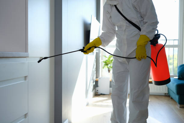 Best Crawl Space Mold Remediation in Desoto, TX