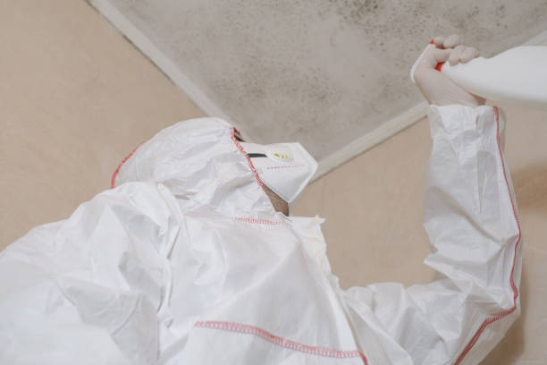 Desoto, TX Mold Remediation Company