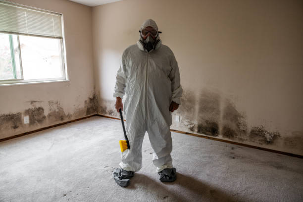 Best Mold Testing and Inspection Services in Desoto, TX